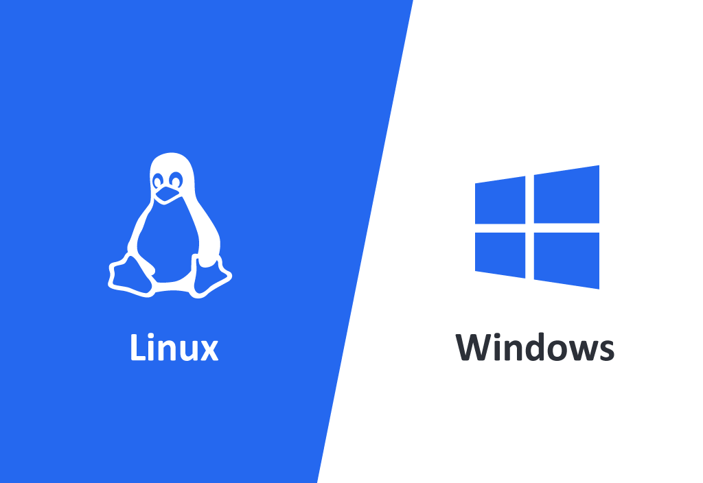 Linux and Windows Hosting