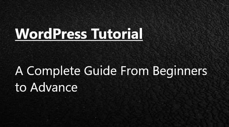 learn WordPress from beginner to advanced user